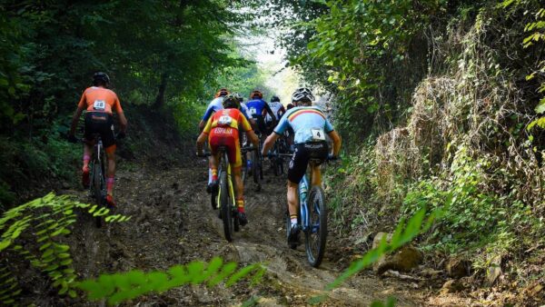 Frans Claes Classic Challenge - 2021 - Afbeelding 1